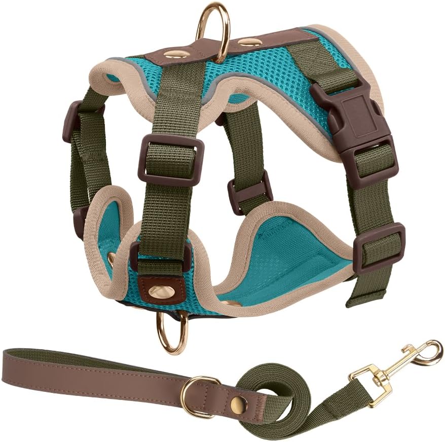 No Pull Dog Harness and Leash Set (Adjustable)