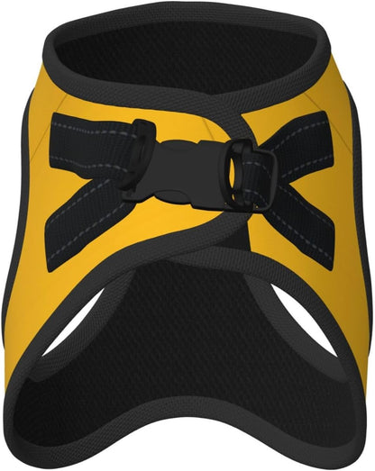 Large Pet Leash Vest & Dog Harness Set