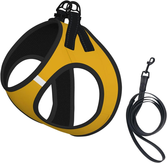 Large Pet Leash Vest & Dog Harness Set