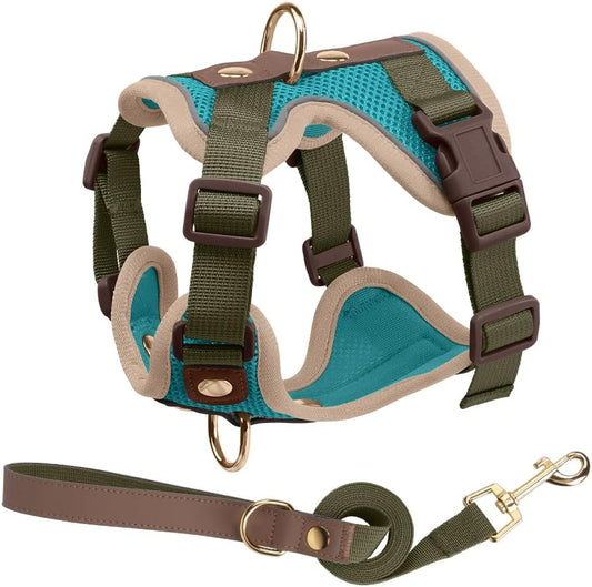No Pull Dog Harness and Leash Set (Adjustable)