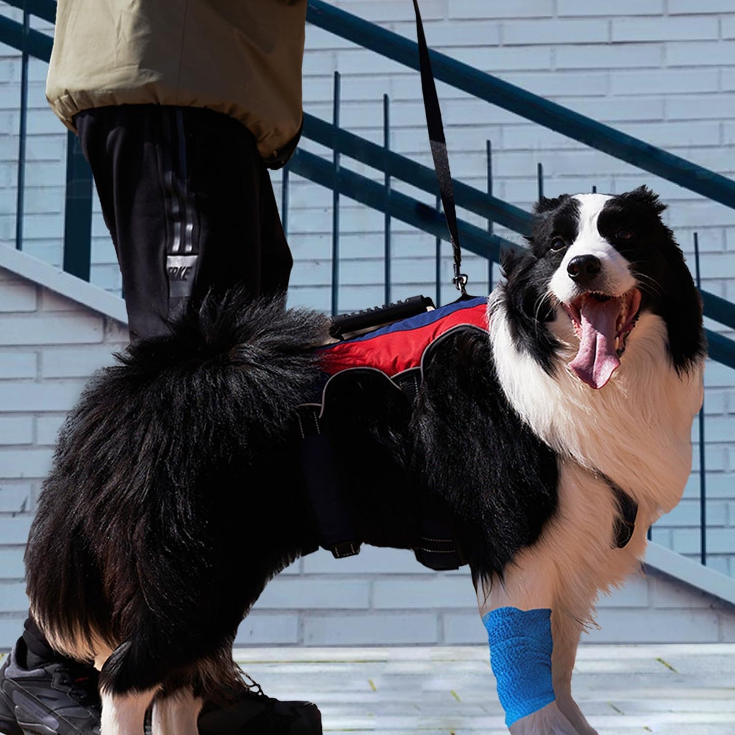 Dog Harness No Pull, Soft Padded and Reflective Straps